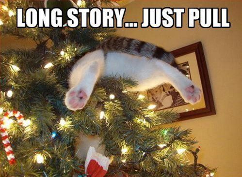 cat_in_christmas_tree_long_story_just_pu