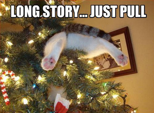 cat_in_christmas_tree_long_story_just_pull.jpg