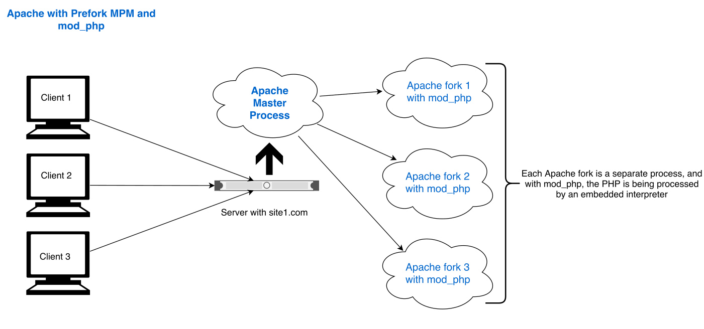 Apache index mpg port pussy