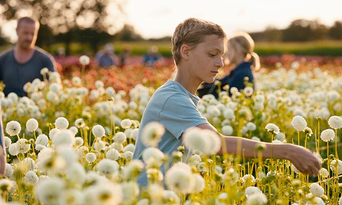 Close - Eden Dambrine - Leo picking flowers