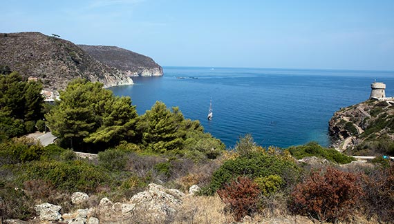 Capraia Isola trail from the village to port