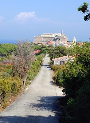 Capraia Isola path from the cemetery to town