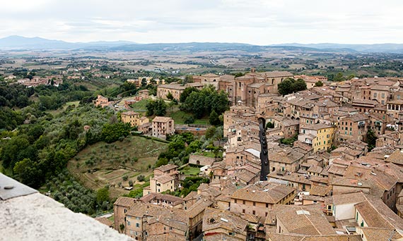 View of Siena from the top of the Torre del Mangia