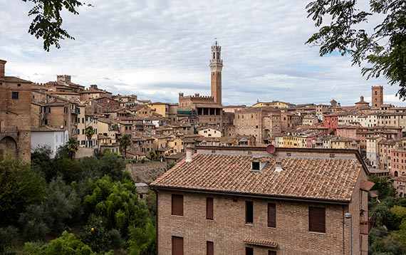 View of Siena and the Torre del Mangia in the distance