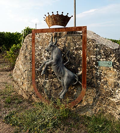 Conti Costanti crest and Brunello vineyard