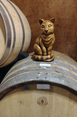Südsteiermark - the cellar cat chooses his barrel of Ried Zieregg Sauvignon Blanc at Weingut Tement