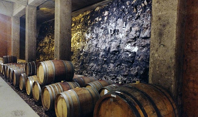 Südsteiermark - inside Weingut Tement's cellar with the wall exposing the soils of Ried Zieregg