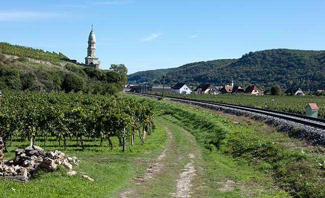 Domäne Wachau - Beautiful eastern vineyards