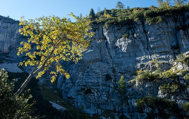 Hallstatt / Obertraun - Dachstein Krippenstein - majestic mountain face near Mammoth Cave