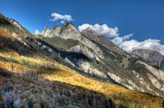 Beautiful forests work their way up the mountainside in Lauterbrunnen