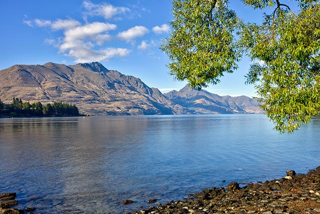 Lake Wakatipu in Queenstown - trees hanging over the shore