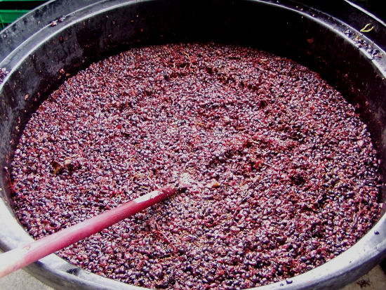 Wine maceration process